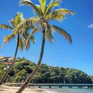Appartement Superbe T2 De Standing, à L'anse à L'âne, à 5mn à Pied Des Plages, Les Trois-Ilets